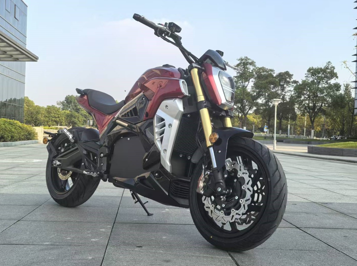 VS Diavel - фото 3